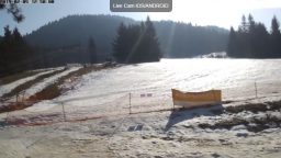 Partia Lorincz Zsigmond