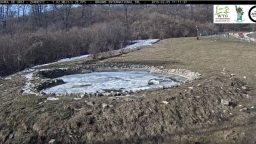 Zarnesti Sanctuarul de Ursi